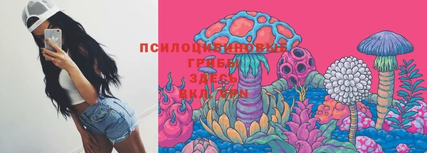 прущие грибы Ладушкин