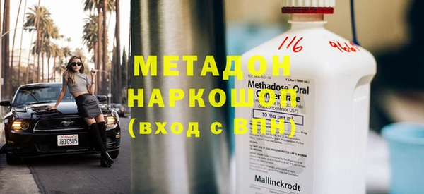 прущие грибы Ладушкин