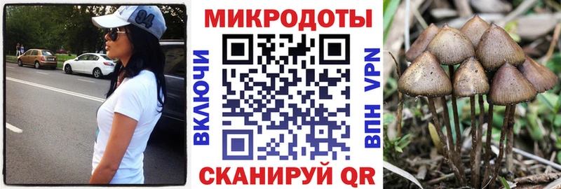 где продают наркотики Ростов-на-Дону Галлюциногенные грибы Magic Shrooms
